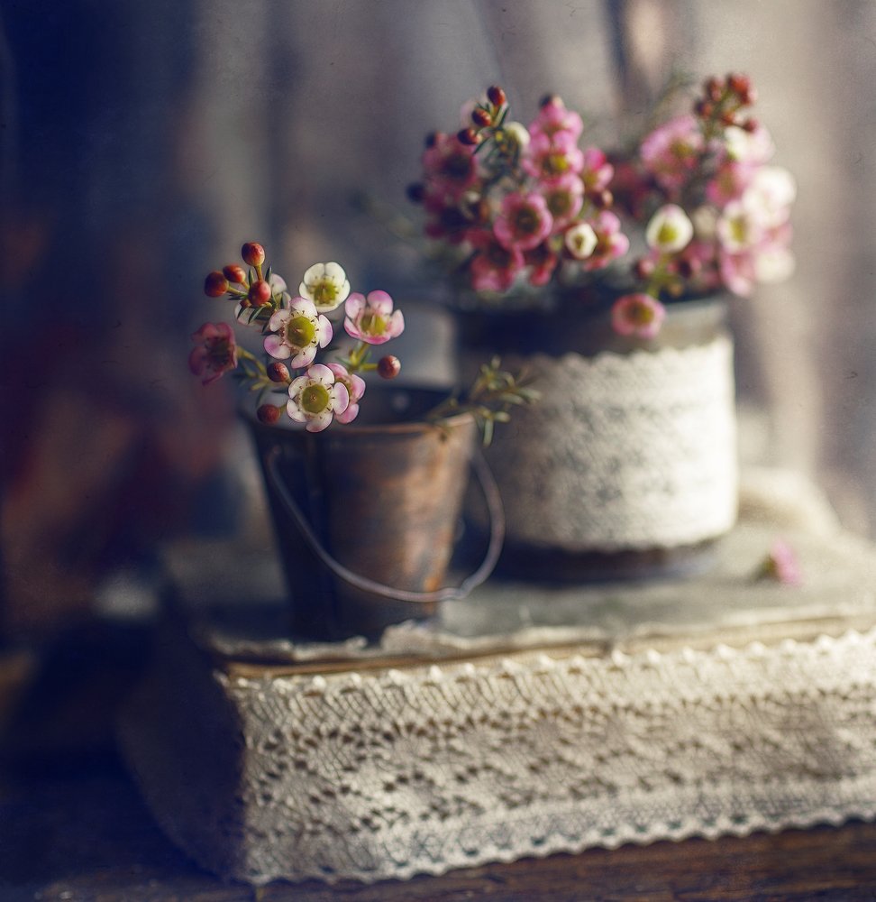 Photograph by Svoboda Andreeva