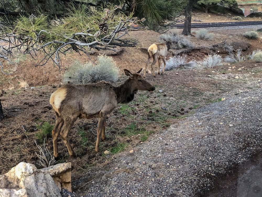 Photograph by Андрей Натан