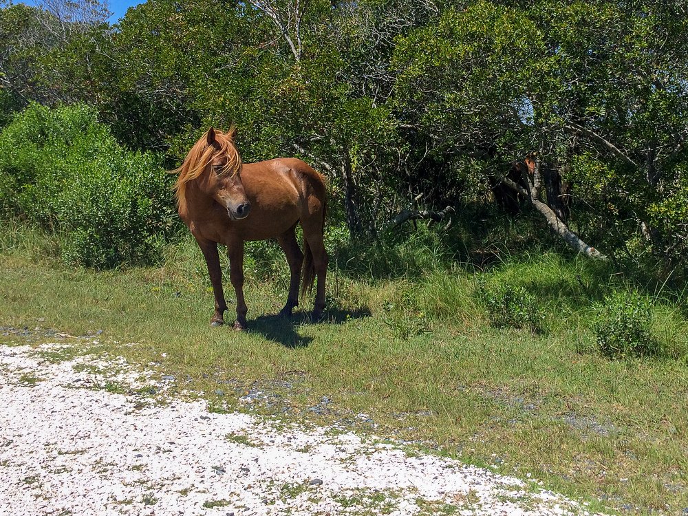 Photograph by Андрей Натан