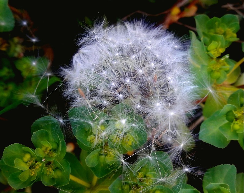 Photograph by Mozhgan Fotouhi