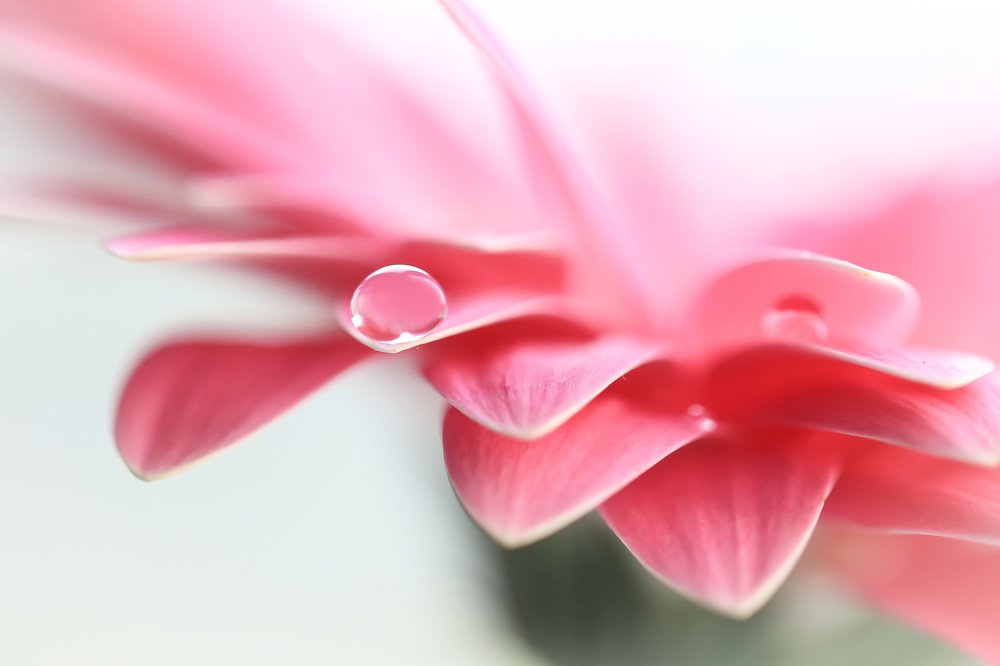 Photograph by Darja Akakjeva