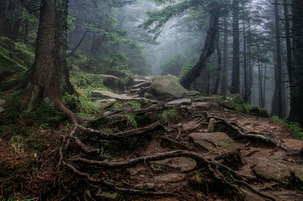Фотография автора Милокост Алексей