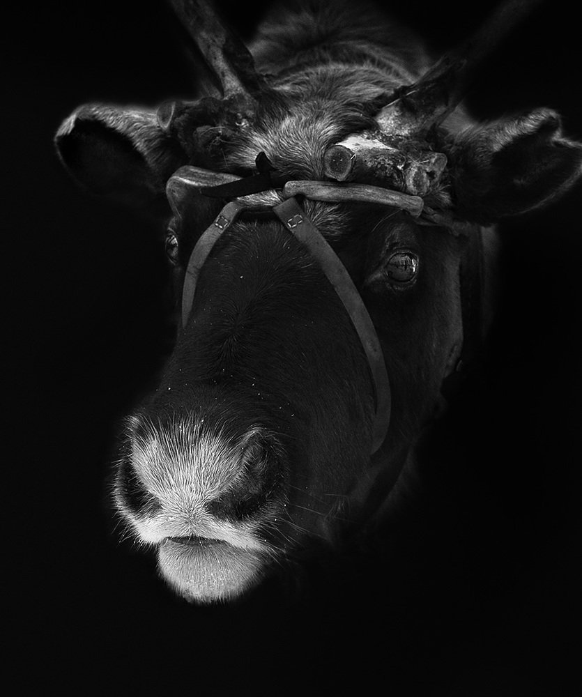 Photograph by Vera Trandina