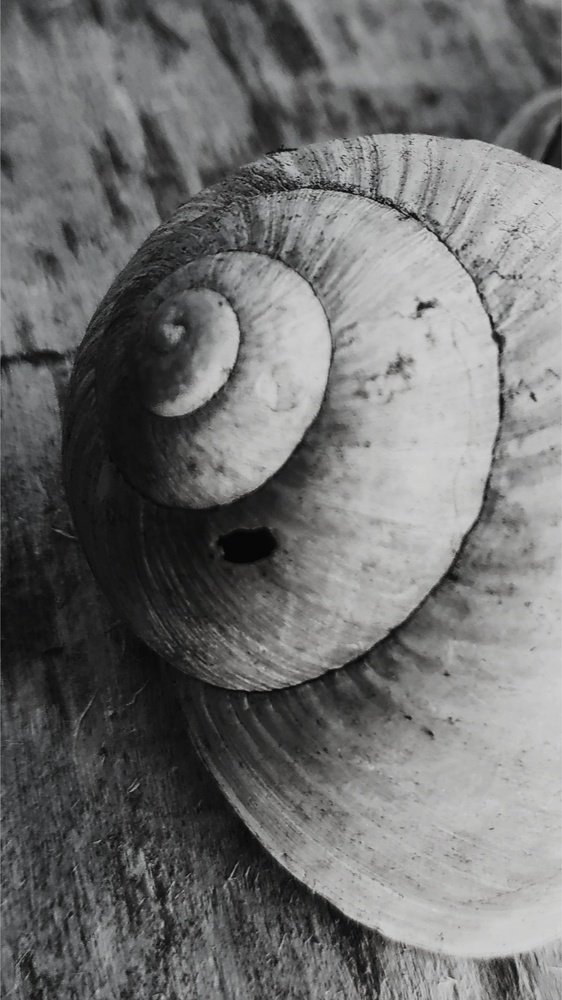 " Настроение спрятаться "