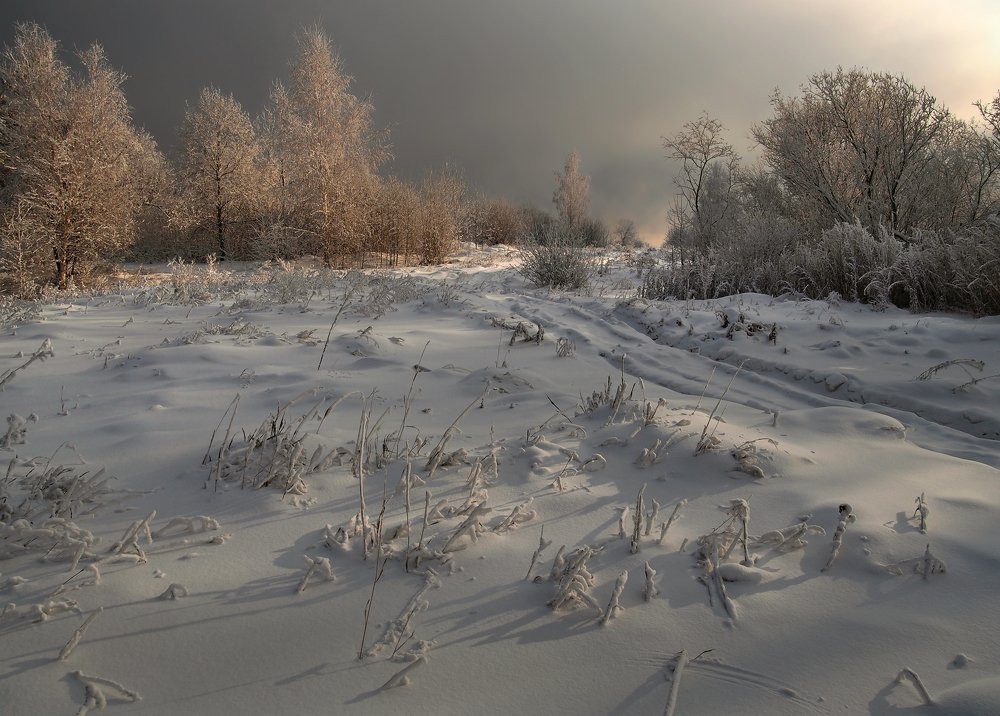 За пол дня до Нового года
