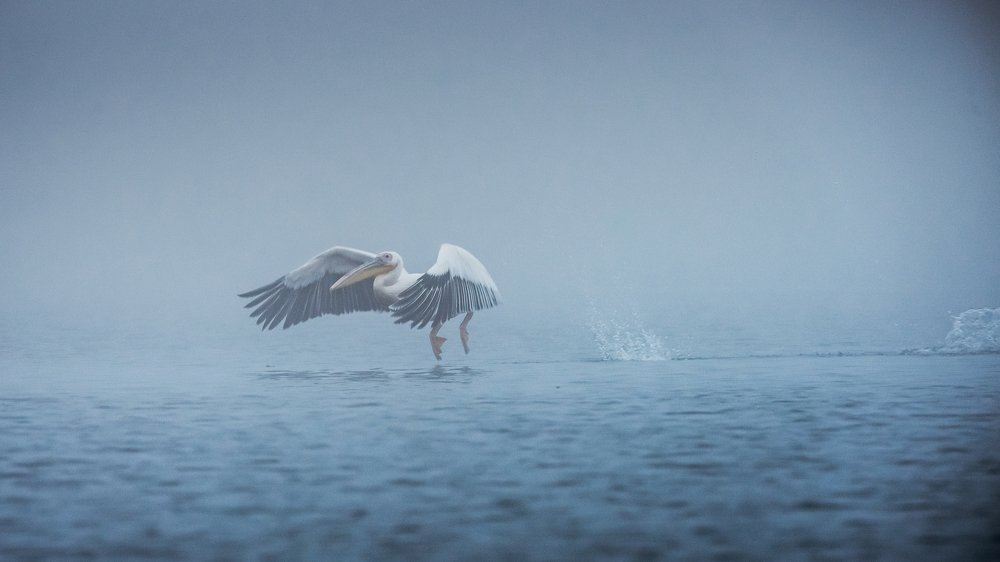 Photograph by Iuliana Luca