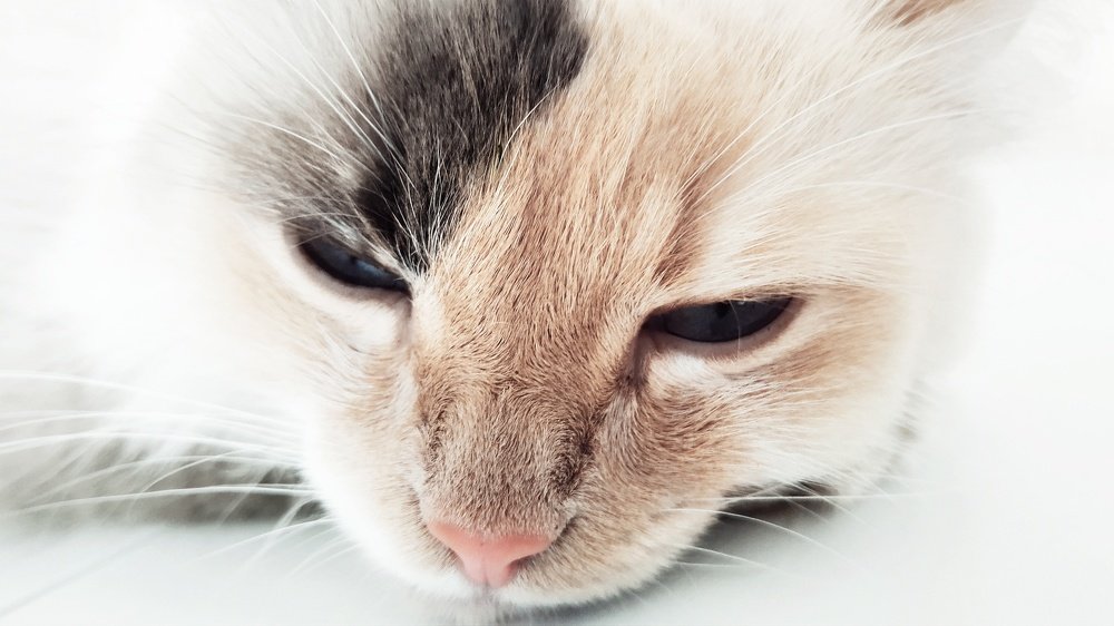 " Релаксация "