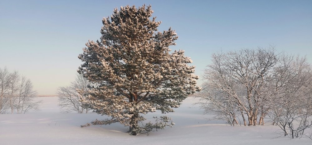 Photograph by Иван Васильев