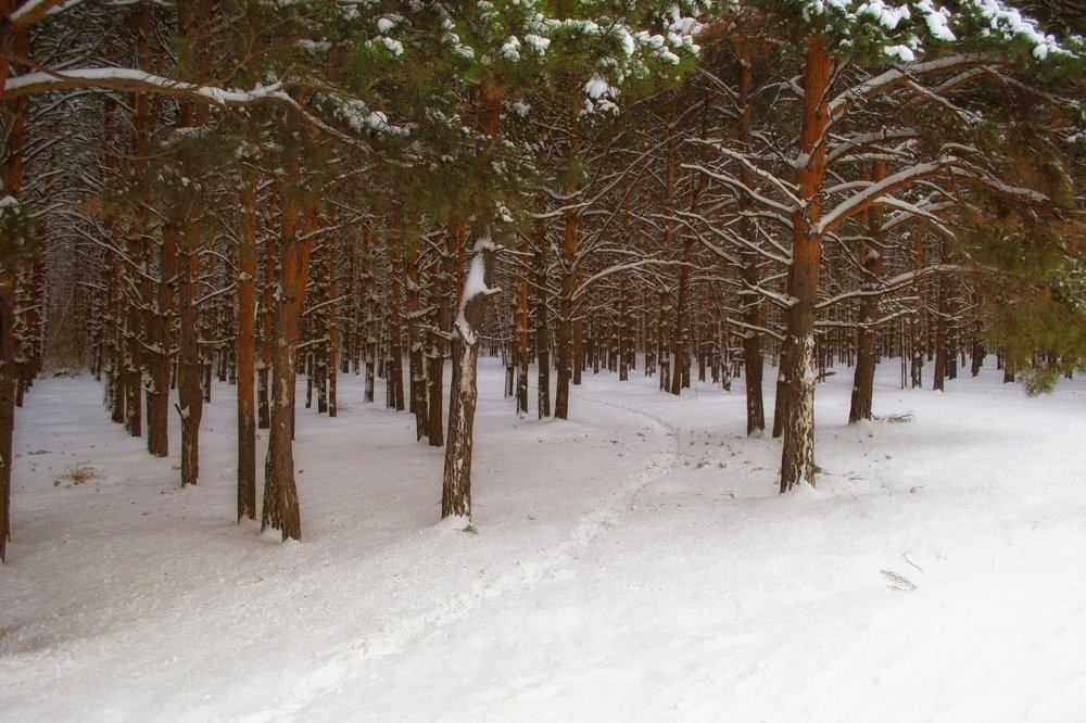 Photograph by Алёна Фефелова