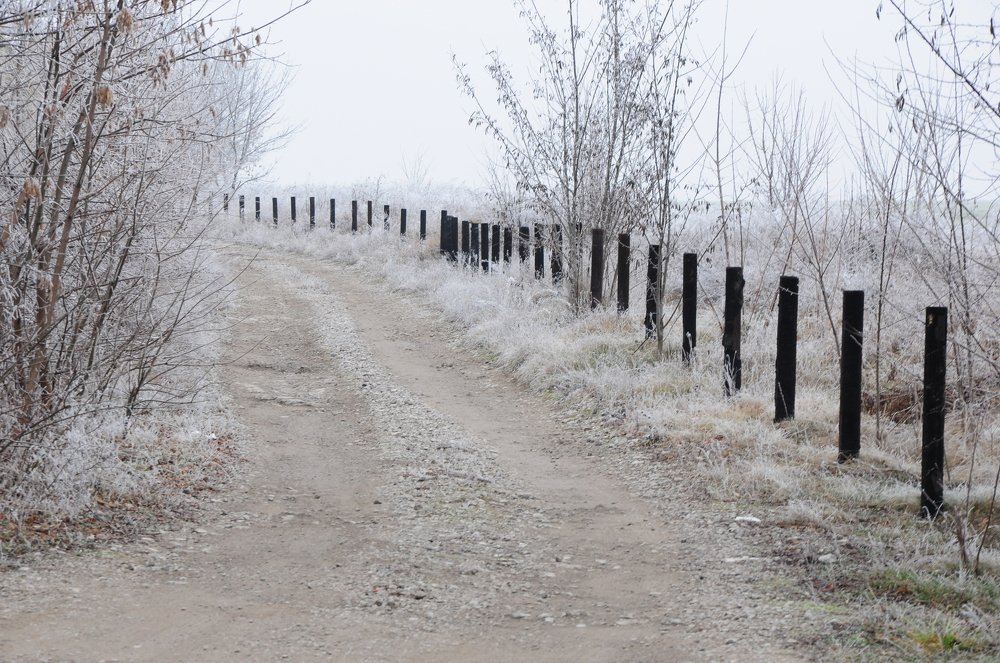 Photograph by Татьяна Маринич