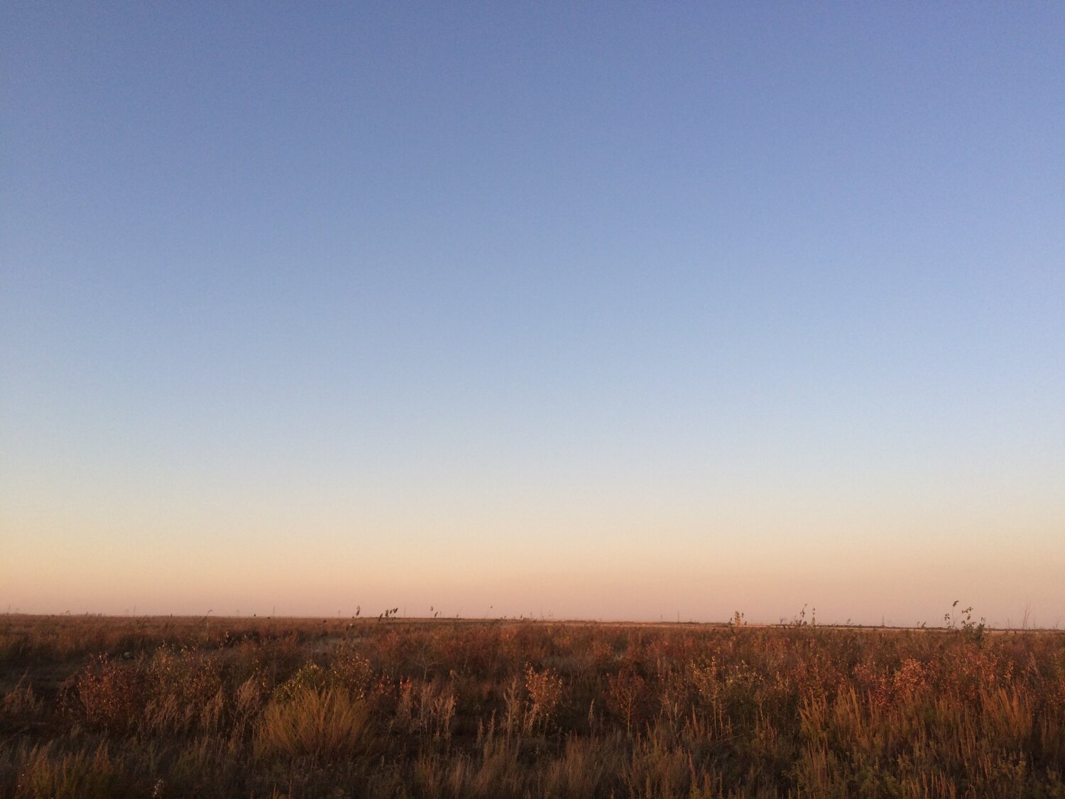 Photo #4240093