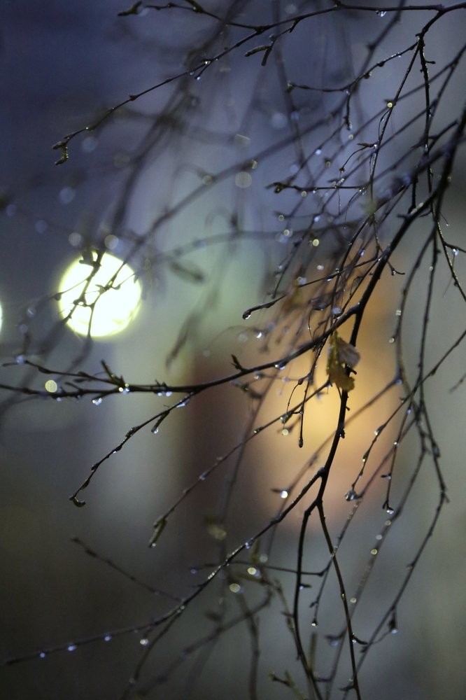 Photograph by Унку Юрий