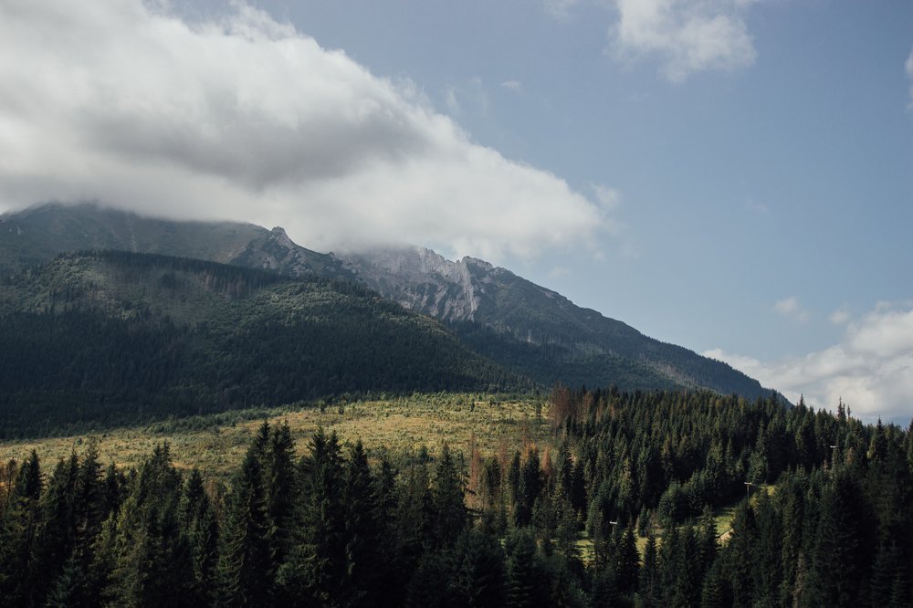 Photograph by Артур Станулевич