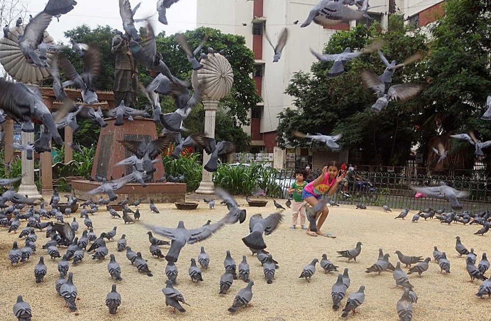 Фотография автора Pranay Shah