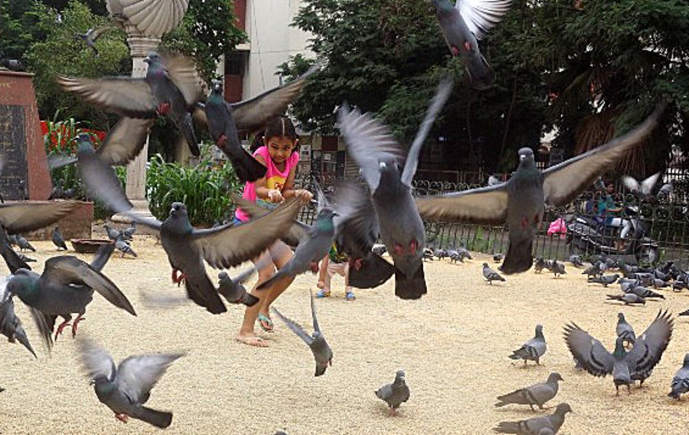 Фотография автора Pranay Shah