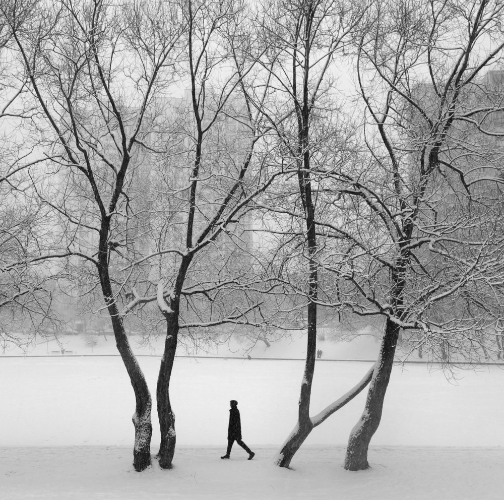 снежное утро