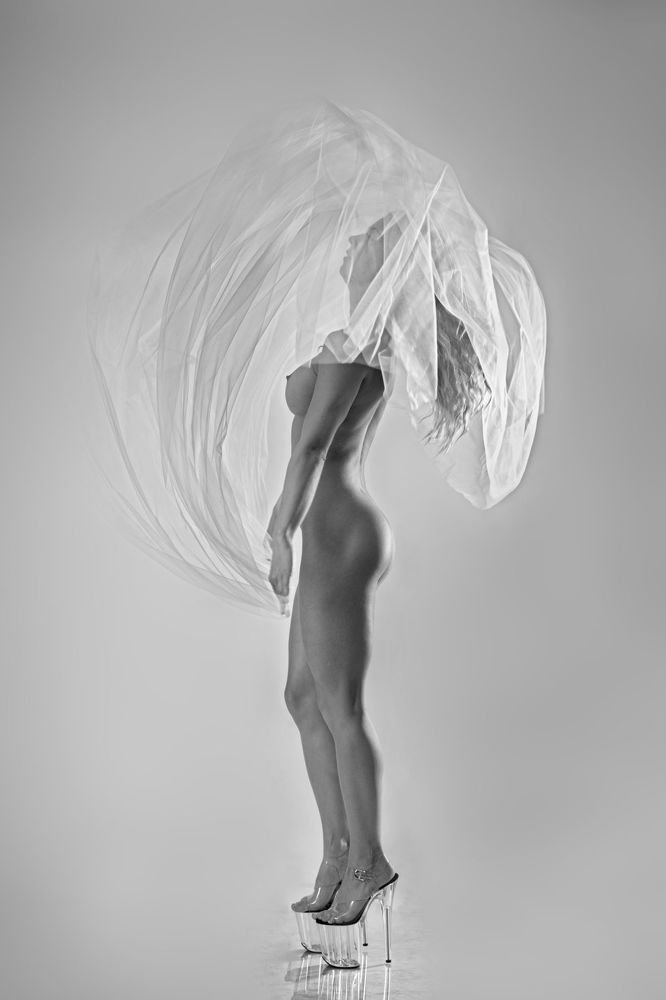 Love dances of jellyfish