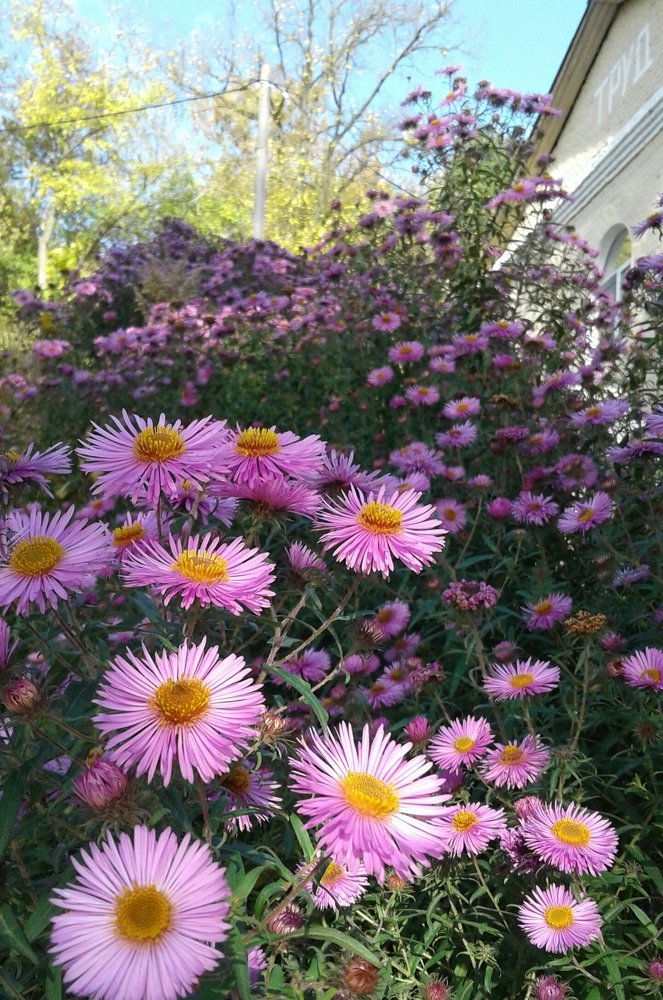 Photograph by Никитина Анна