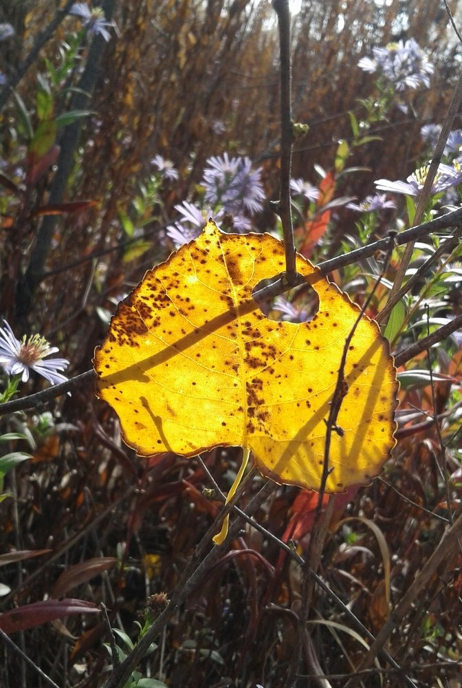 Photograph by Никитина Анна