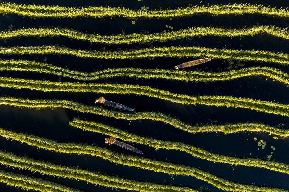 Photograph by KIHWAN NA