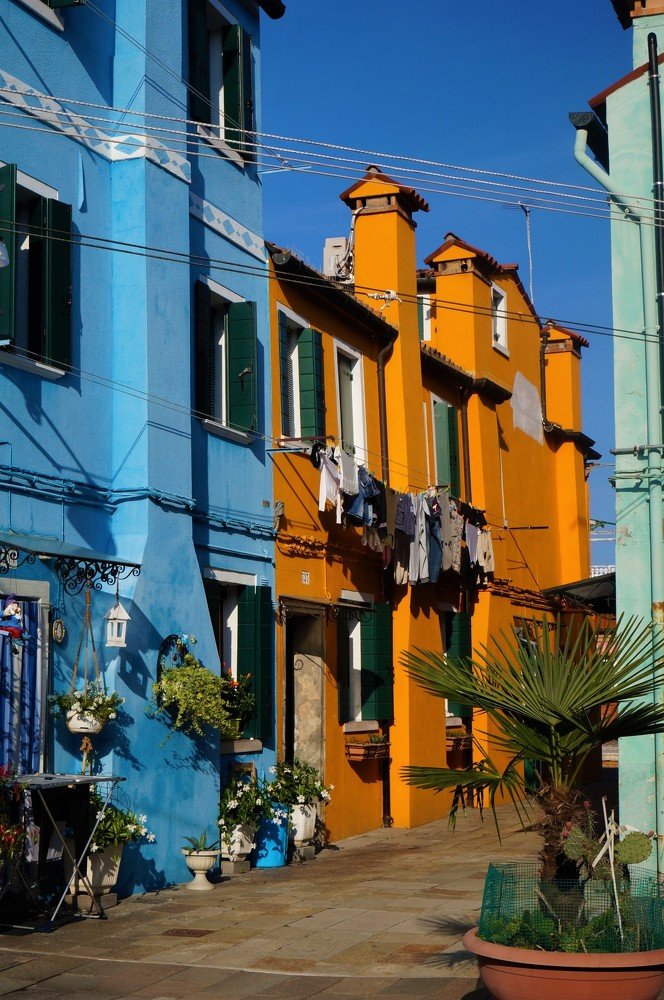 Photograph by Svitlana Hrushko