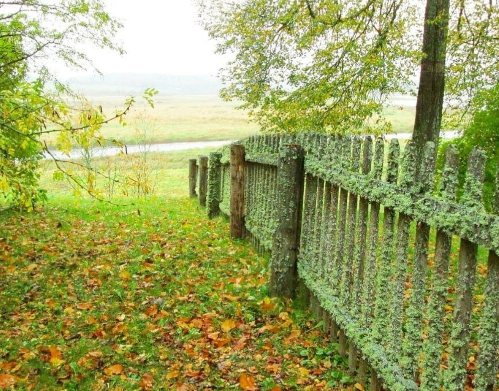 Photograph by Ксения Щеголева