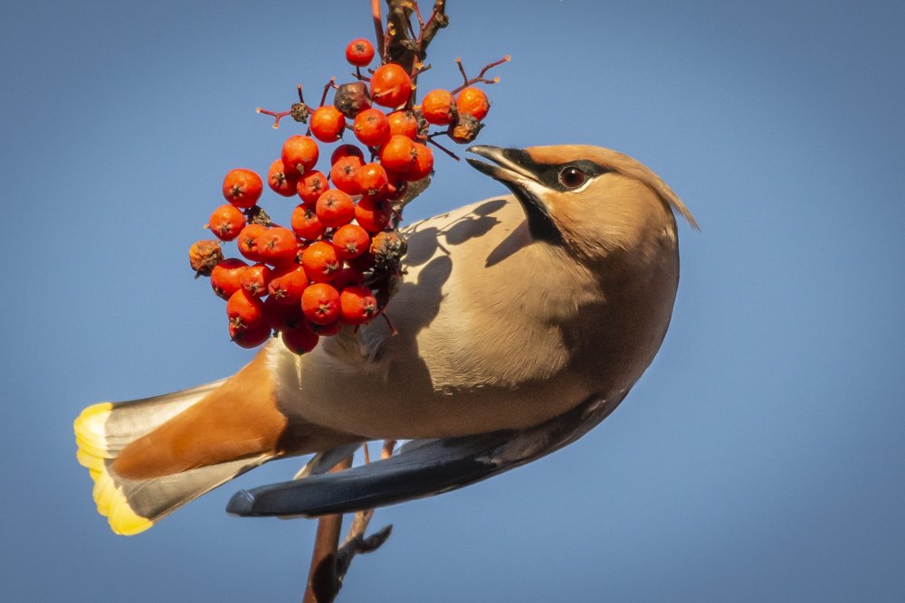 Photograph by Виктор Плахотин