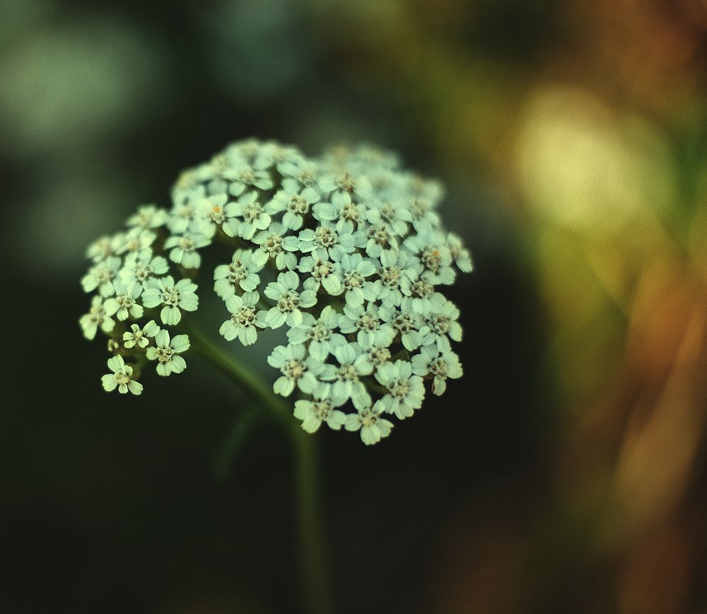 Photograph by Карина