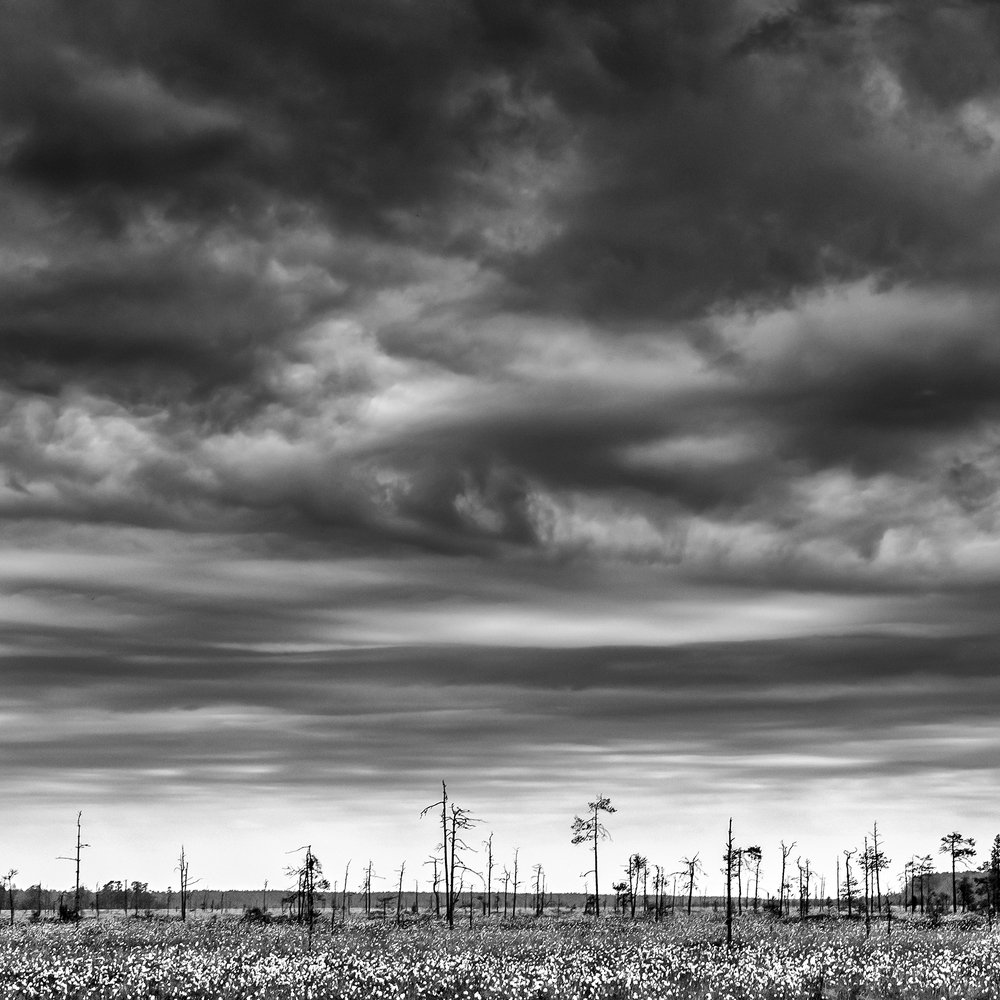 Photograph by Константин Гончаров