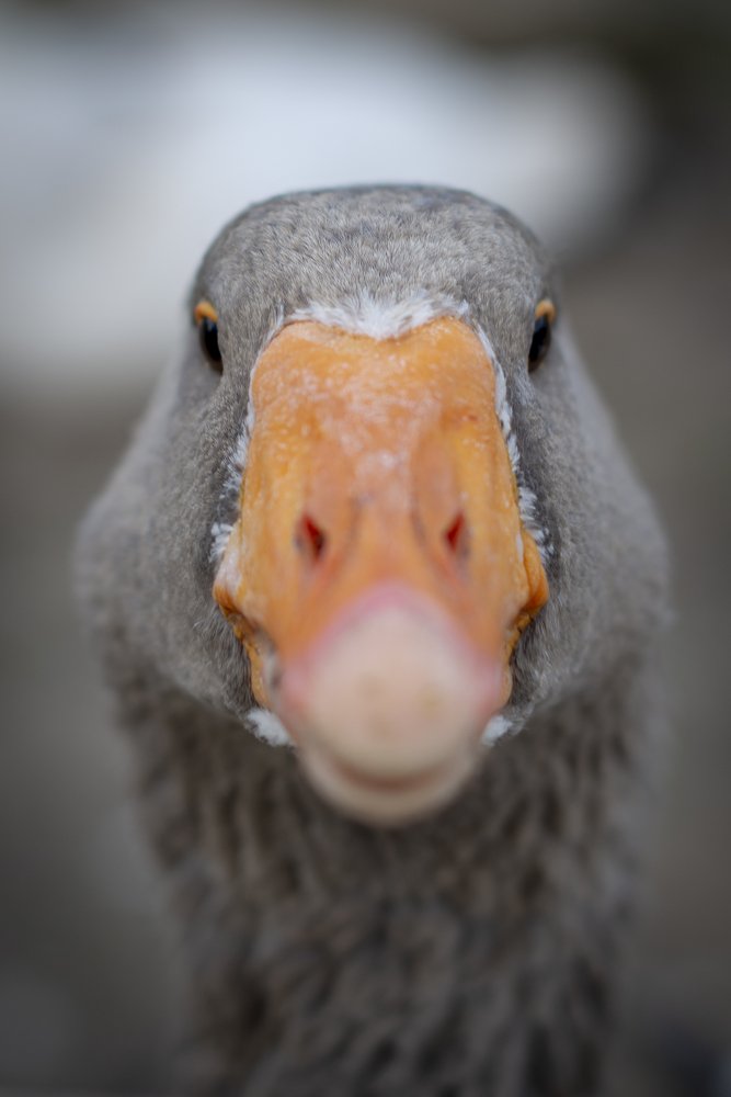 Photograph by Виктор Плахотин