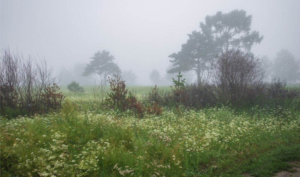 Photograph by Дарья Молчанова