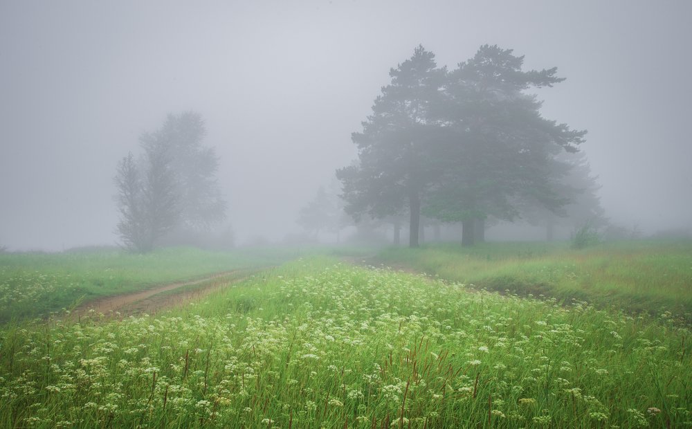 Photograph by Дарья Молчанова
