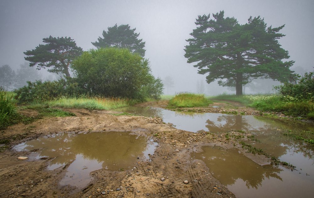 Photograph by Дарья Молчанова