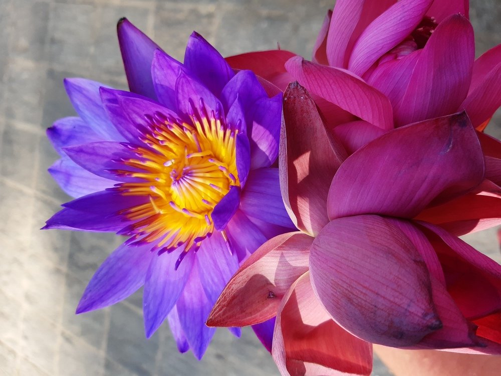 Photograph by Олексій Долинний