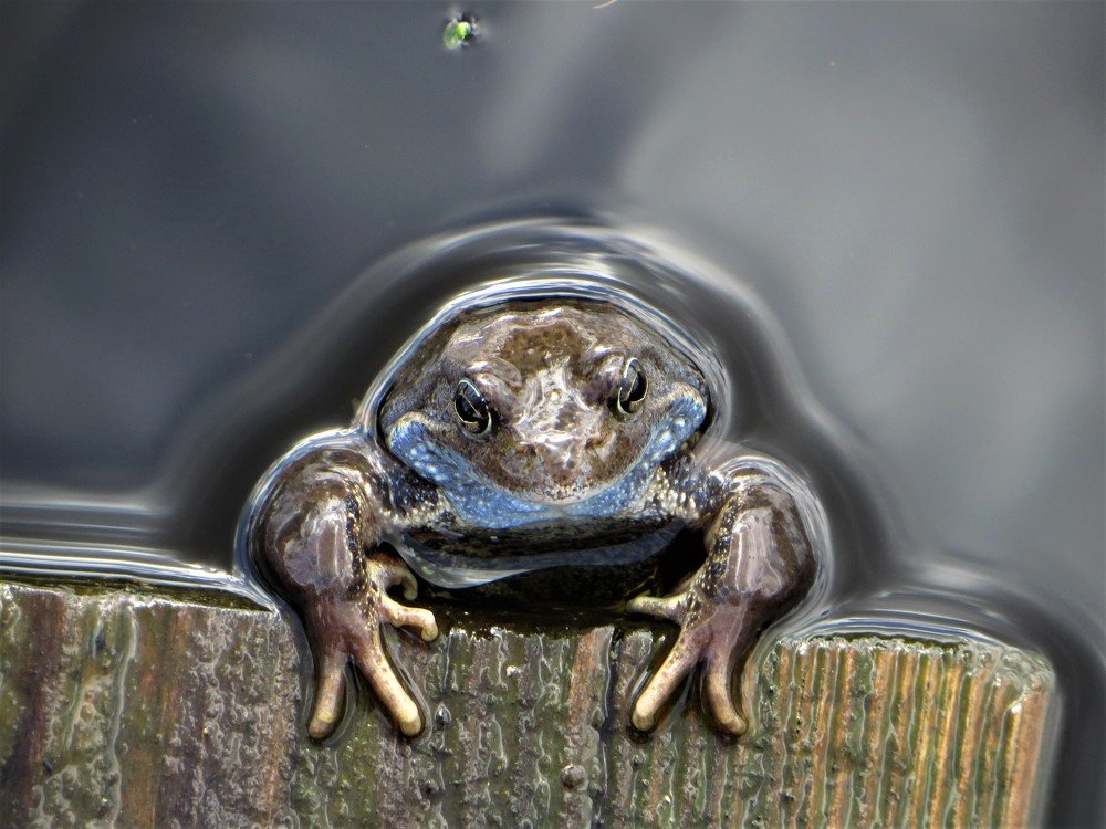 Photograph by Екатерина Салий