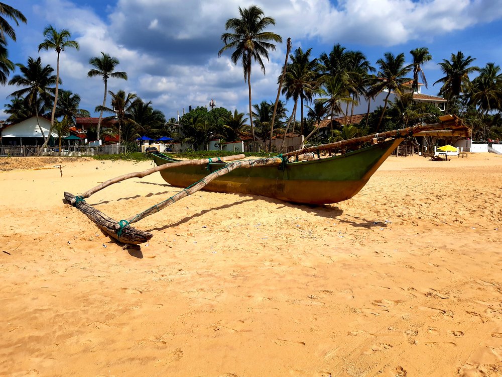 Photograph by Олексій Долинний