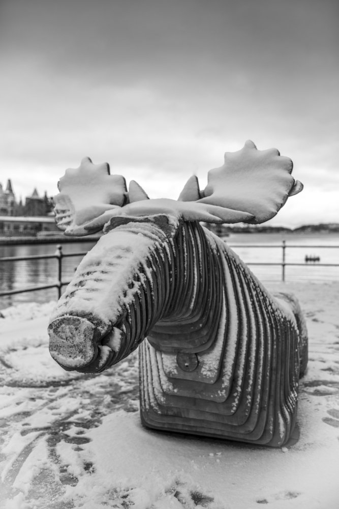 Photograph by Виктор Плахотин