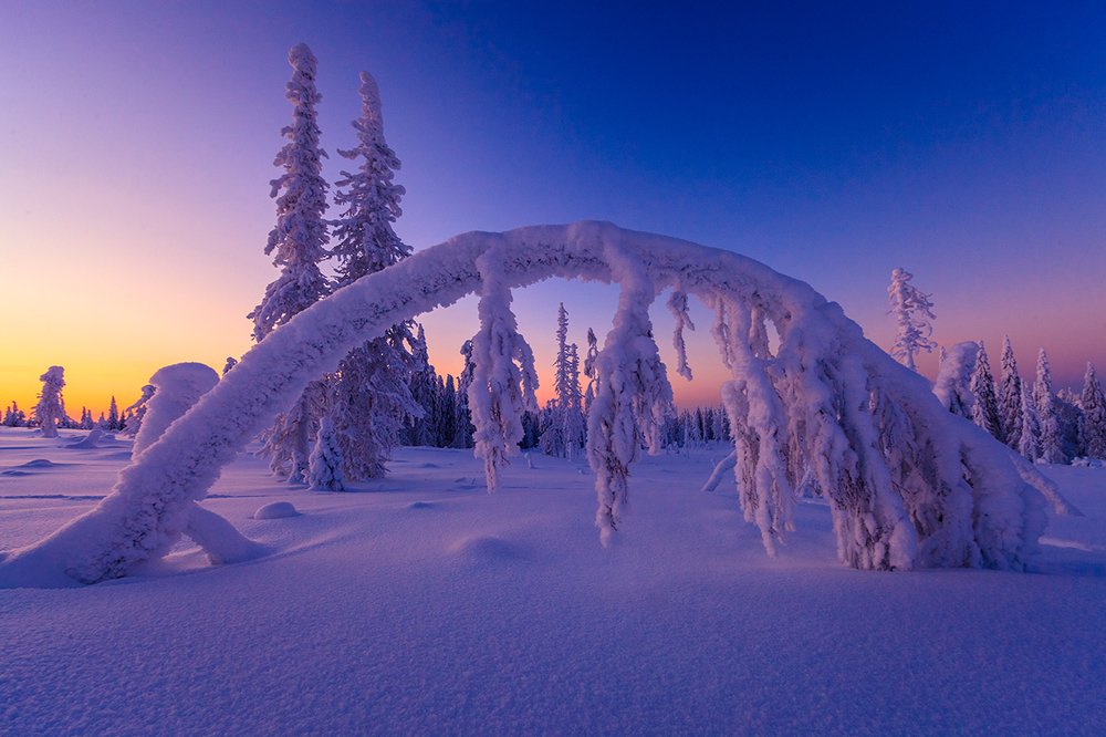 Зимним вечером.