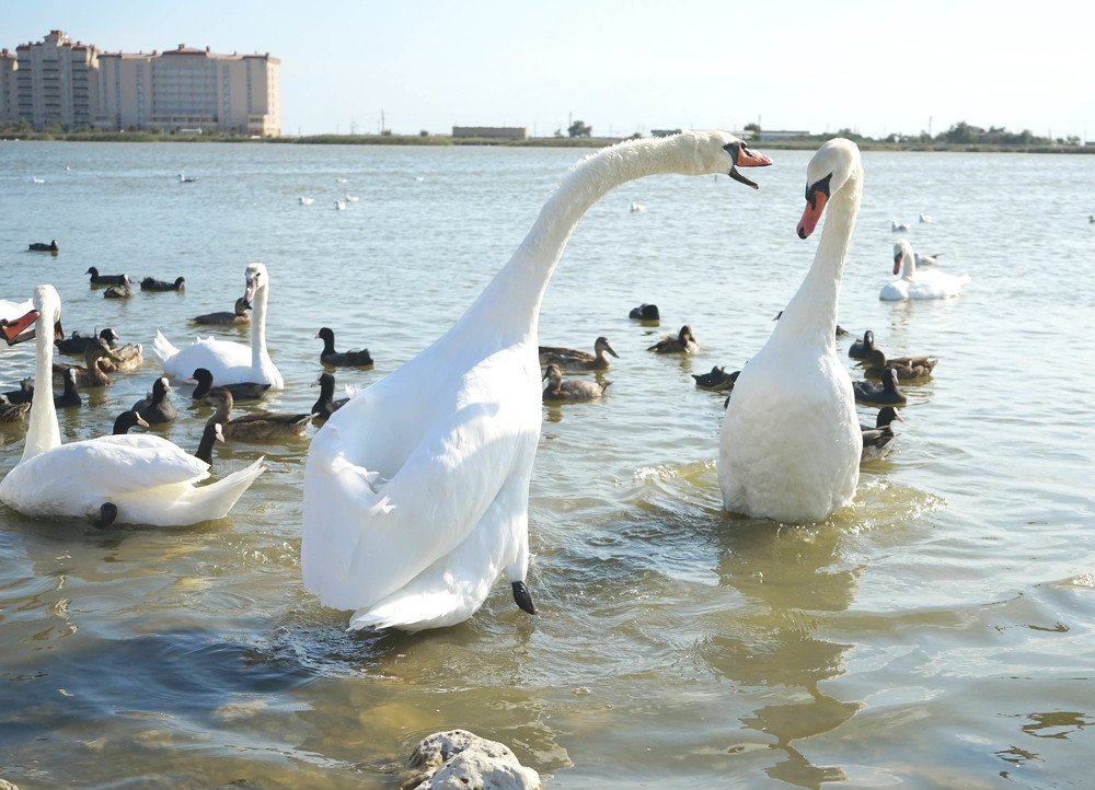 Двойку получил.