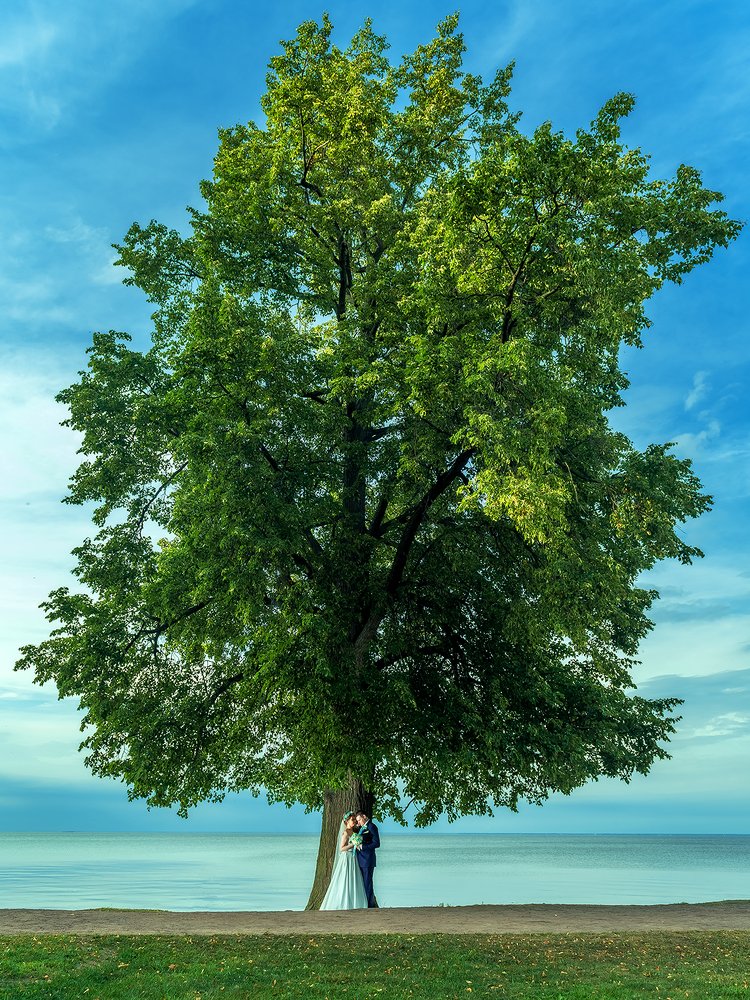 Photograph by Алексей Вертолетов