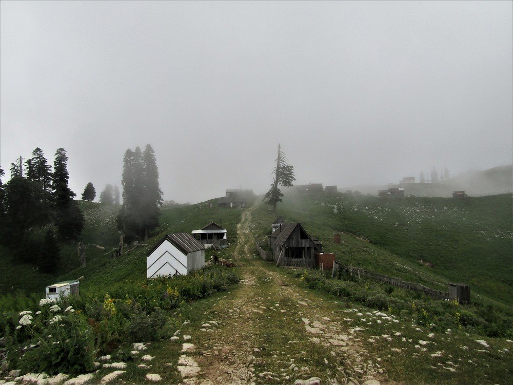 Photograph by Екатерина Салий