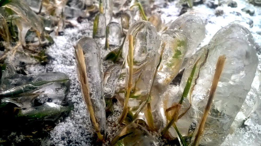 Photograph by Игорь Краснояров