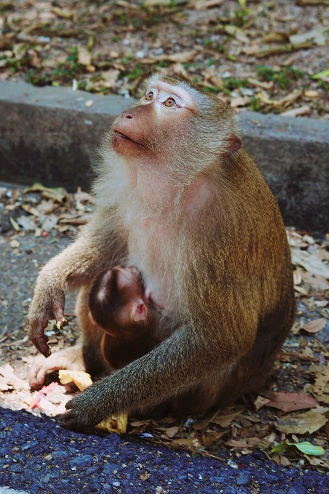 Photograph by Светлана