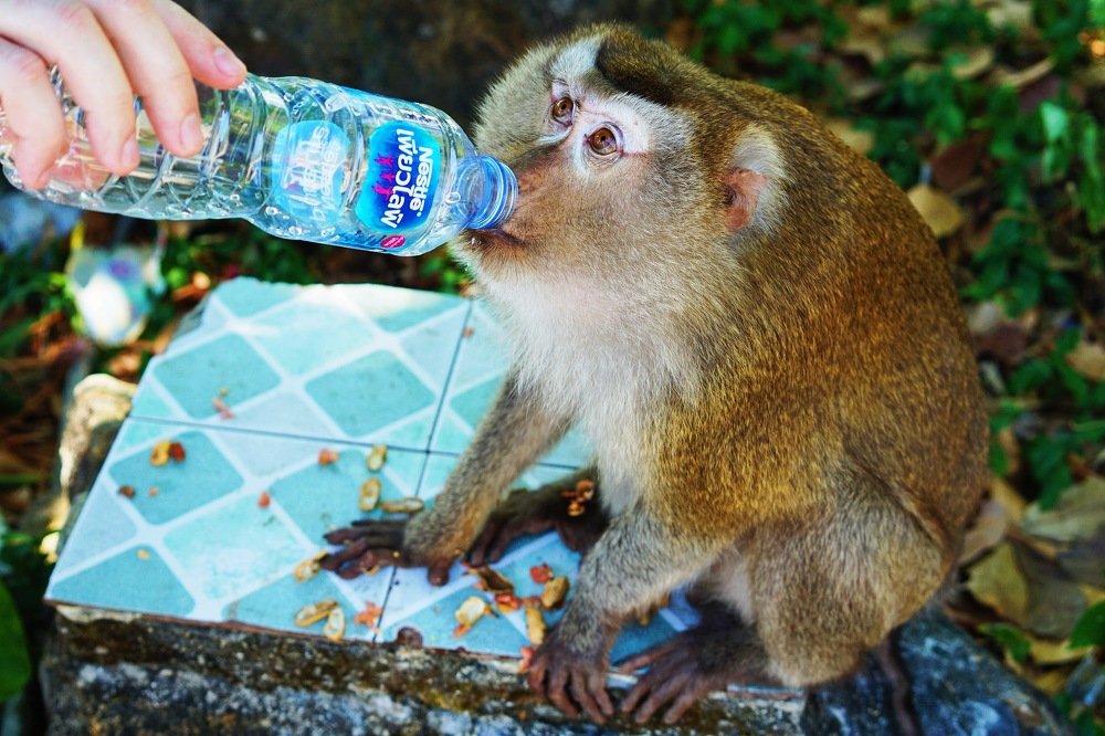 Photograph by Светлана