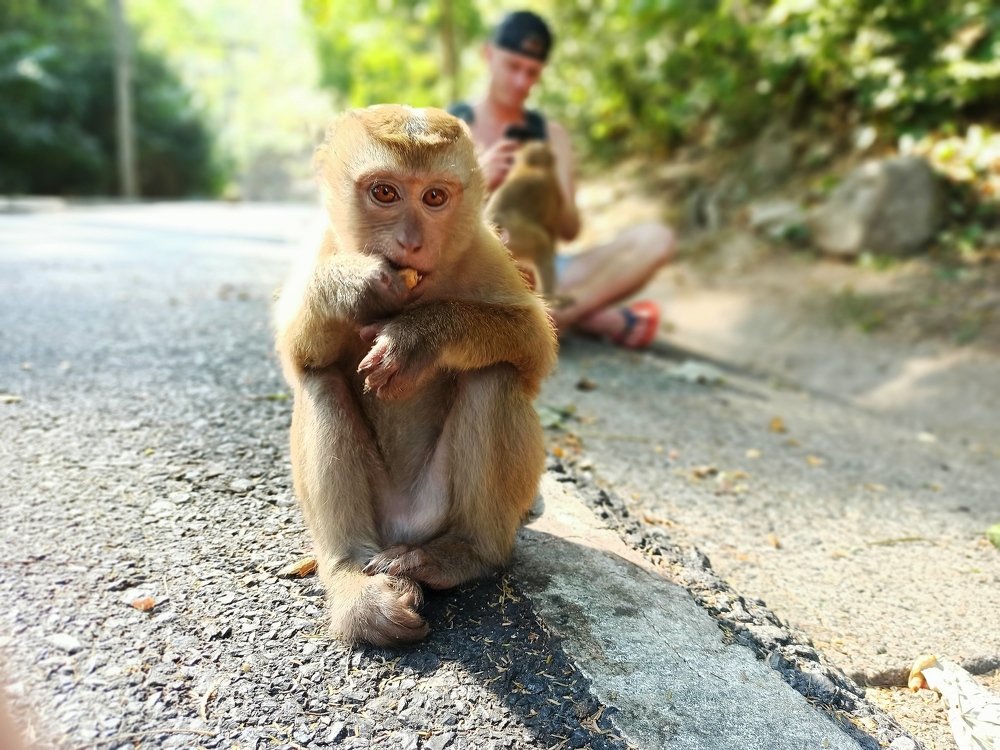 Photograph by Ильдус Шаруков