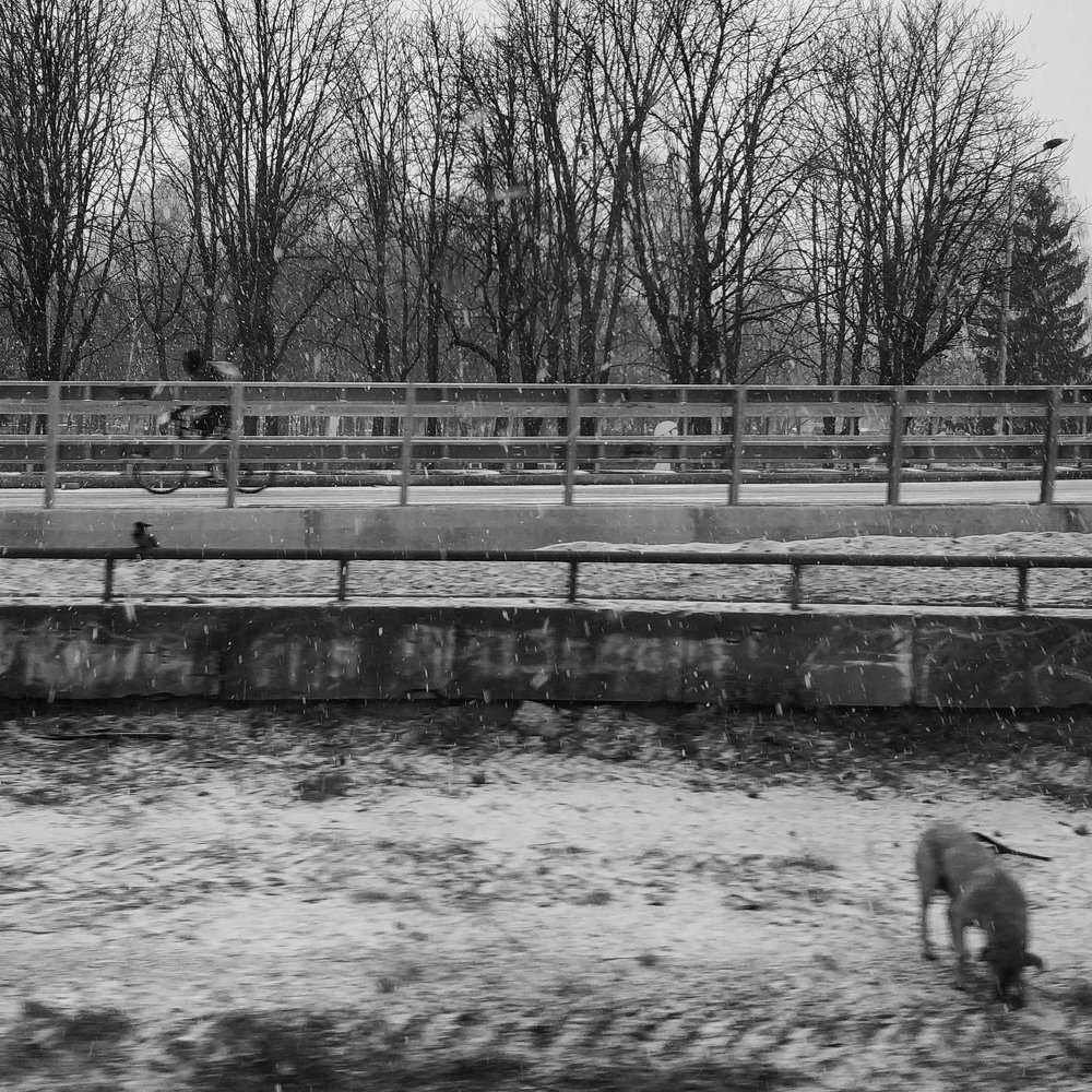 Фотография автора Святослав Романяк