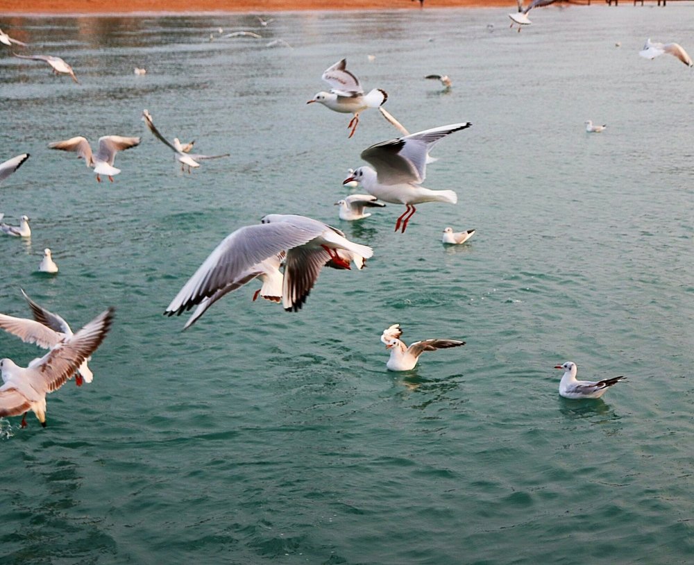 Photograph by Олег Башкуров