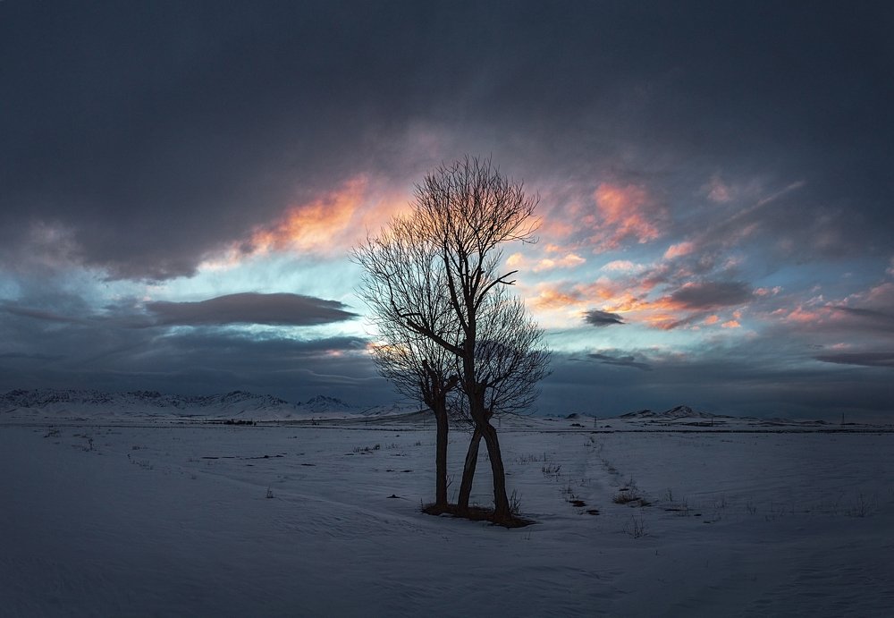 Фотография автора majid arab