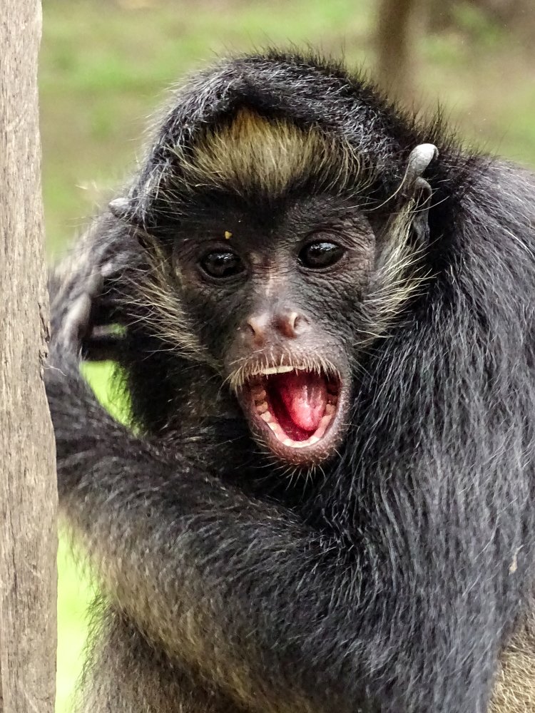 Photograph by Patrycja Sorensen