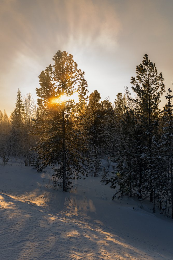 Морозное солнце